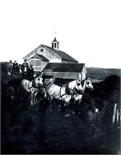 Barn and  teamsedit